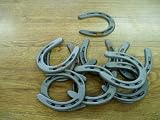 20 pc Cast Iron Horseshoes for Decorating and Crafts