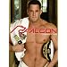 Champions: Falcon Studios