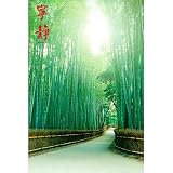 Pathways Tranquility Poster Green Bamboo Path 33466