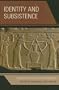 Identity and Subsistence: Gender Strategies for Archaeology (Gender and Archaeology)