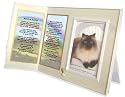Beyond the Rainbow Poem Pet Memorial Keepsake Picture Frame and Pet Loss Sympathy Gift, Warm White with Foil Accent