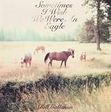 Sometimes I Wish We Were An Eagle [Vinyl]