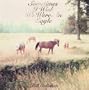 Sometimes I Wish We Were An Eagle [Vinyl]