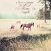 Sometimes I Wish We Were An Eagle [Vinyl]