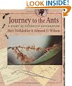 Journey to the Ants