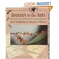 Journey to the Ants