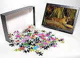 Photo Jigsaw Puzzle of TOM-1843 Florida Cougar / Mountain Lion / Puma from Ardea Wildlife Pets