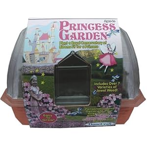 DuneCraft Windowsill Greenhouses - Princess Garden