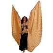 Iridescent Apricot Wings of Isis