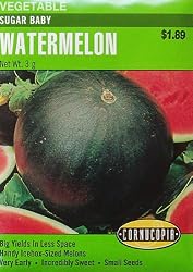 Watermelon Seeds Sugar Baby 60 Seeds