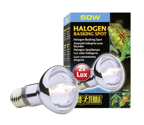 Exo Terra PT2181 Sun Glo Halogenspot 50 W Preisvergleich