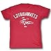 Back To The Future 1.21 Gigawatts DeLorean Adult Soft T-Shirt