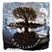 Equilibrium-Equilibrium