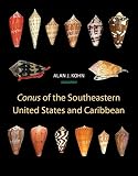 Conus of the Southeastern United States and Caribbean