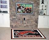 Fanmats Cincinnati Bengals 5x8 Rug