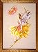Petal Fairy - Cross Stitch Pattern