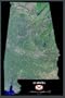Alabama from space satellite map/print poster: 24"x36" Glossy