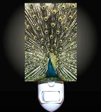 Royal Peacock Decorative Night Light