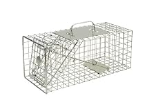 The Big Cheese - STV076 Squirrel Cage Trap