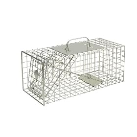 The Big Cheese - STV076 Squirrel Cage Trap