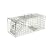 The Big Cheese - STV076 Squirrel Cage Trap