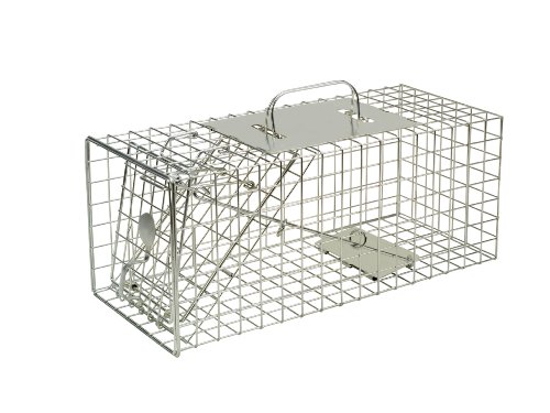 The Big Cheese - STV076 Squirrel Cage Trap