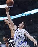 Kevin Love autographed 8x10 Photo (Minnesota Timberwolves)