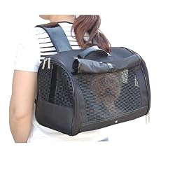 Backpack Carrier