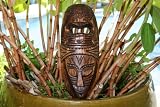 FIJIAN TIKI MASK W/ 2 DEITIES - 12 LOVE & STRENGTH - POLYNESIAN ART