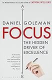 Focus: The Hidden Driver of Excellence