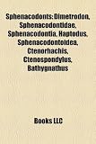 Sphenacodonts: Dimetrodon, Sphenacodontidae, Sphenacodontia, Haptodus, Sphenacodontoidea, Ctenorhachis, Ctenospondylus, Bathygnathus