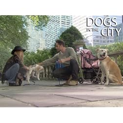 Dogs In The City