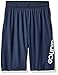 New Balance Boys' Big Performance Short with Logo Side Inserts, Thunder/Toxic, 18-20