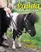 Panda: A Guide Horse For Ann