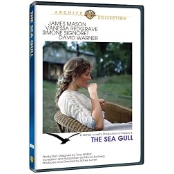 The Sea Gull