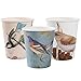 Alink Birds Design Tea Party Paper Cups, 24 Count