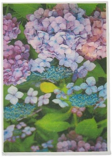 Puzzle hydrangea (japan import)