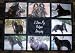   - I Love My Belgian Sheepdog Personalized Photo Tote Bag Navy Blue