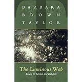 the luminous web essays on science and religion