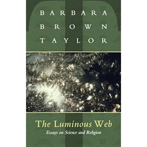 The Luminous Web: Essays on Science and Religion