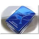 ZIPPO���̥֥롼���륫��Dolphin Illusion