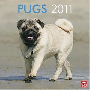 Pugs 2011 Square 12X12 Wall Calendar by BrownTrout Publishers Inc