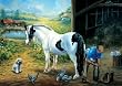 New Shoes Jigsaw Puzzle 500pc