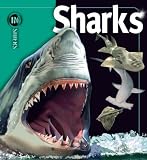 Sharks (Insiders)