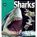 Sharks (Insiders)