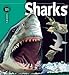 Sharks (Insiders)