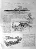 1887 のニュージーランド Picton Pelorus の捕鯨テーブル山 捕鯨