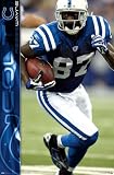 Reggie Wayne Indianapolis Colts NFL Star - Wall Poster - 22x34 inches