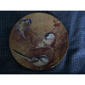 Coalport plate "Thorburn's Garden Birds".