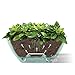 Santino Self Watering Planter CALIPSO Oval Shape L 9.4 Inch x H 5.1 Inch Cream/White Indoor Flower Pot for All House Plants, Flowers, Orchids